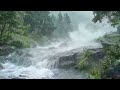 No Ads. Relax into Deep Sleep with Heavy Rain, Fierce Forest Wind &amp; Thunder | ASMR Flowing Stream