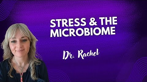 The Impact of Stress on Gut Microbiome: Exploring the Gut-Brain Connection