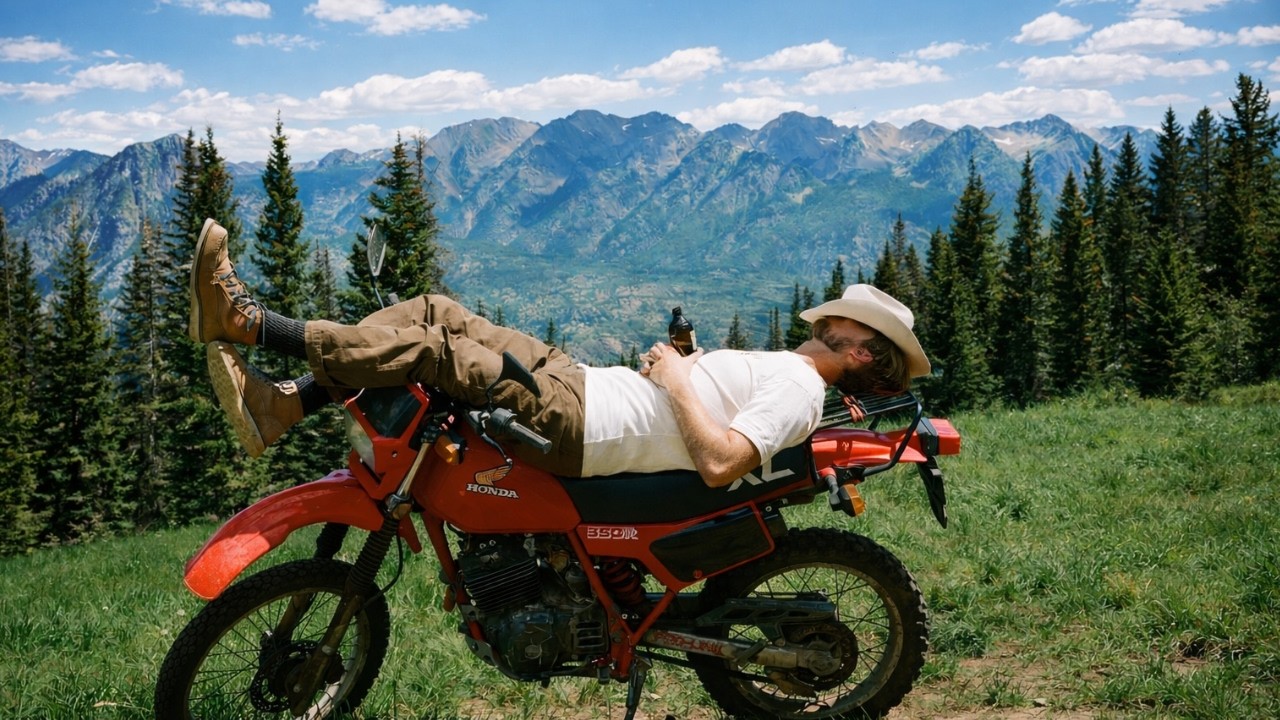 playlist | chill groovy indie pop | sunset freedom