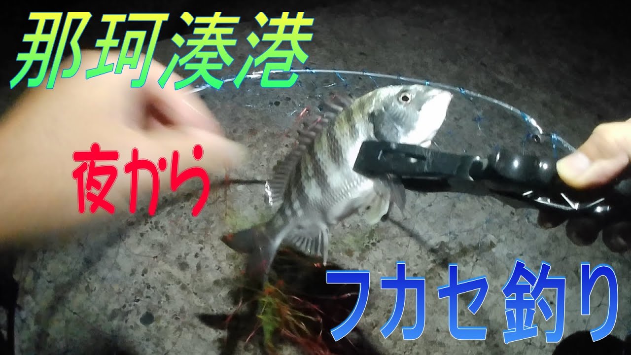 那珂湊港で夜釣りからフカセ釣りしてみた（2024年9月下旬）