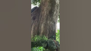 You are to beautiful #rnb #newmusic #people #music