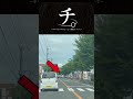 チャリカスのひょっこり運動について #shorts