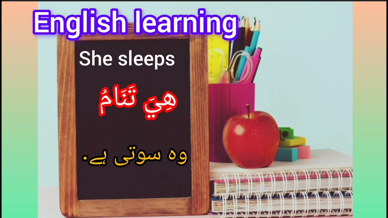 English learning|English to Arabic & urdu|vocabulary for preschoolers 
