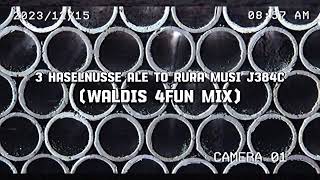 Jaques Raupe x Felix Harrer x Malos - 3 Haselnüsse ale to Rura Musi J384c (Waldis 4FUN Mix)