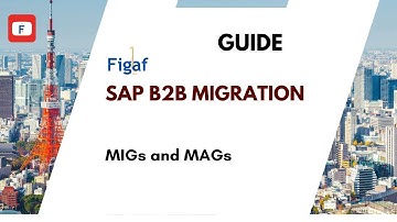 B2B PI to CPI migration procedure   prepare MIGs and MAGs