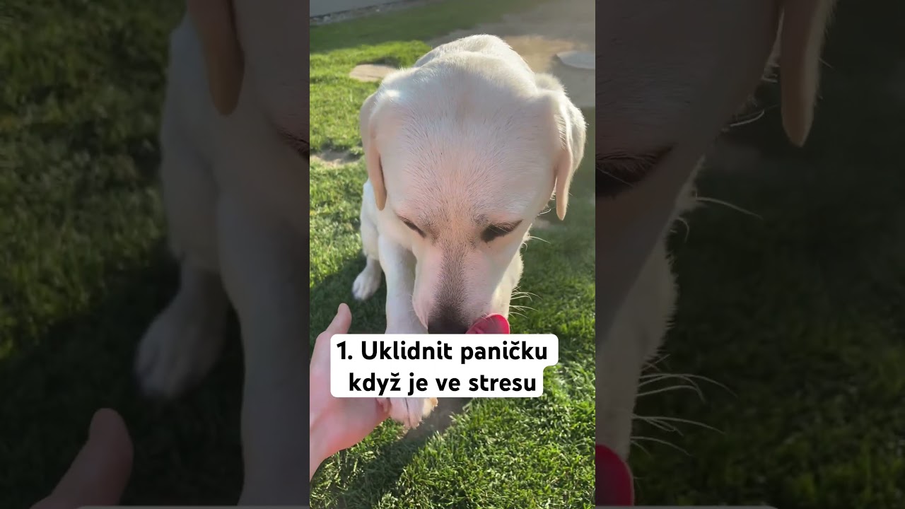 Dvě práce 