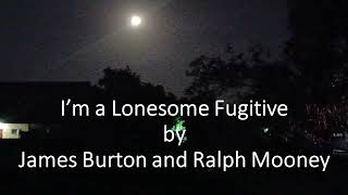 James Burton and Ralph Mooney - I'm a Lonesome Fugitive