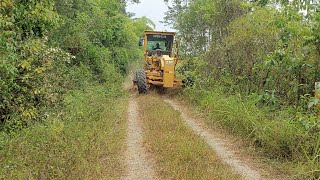 Estrada abandonada muito capim motoniveladora caterpillar 120k motorgrader