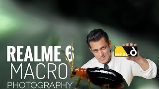 Realme 6 Macro Photography | Awesome shots!