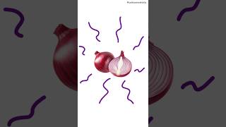 Why do onions make us cry? #shorts