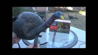 Game Winner Premium Turkey Decoy Review — Worth the Money?