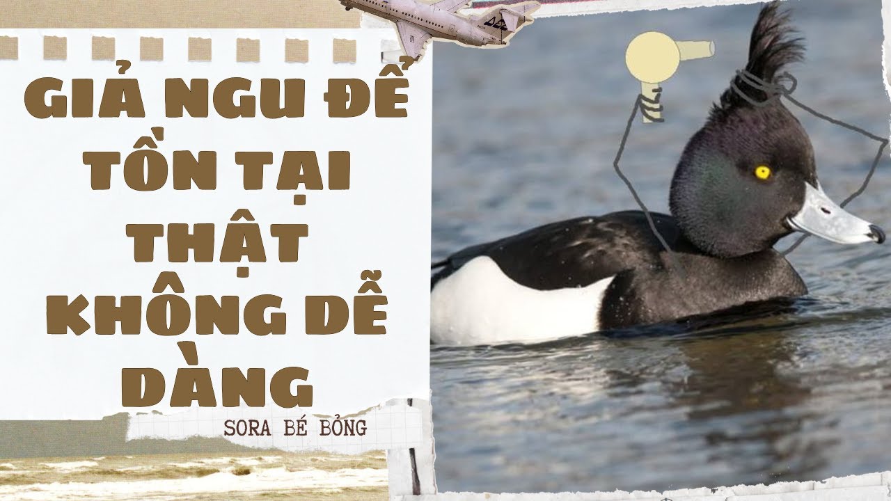 [Truyện Audio ] [FULL] GIẢ NGU ĐỂ TỒN TẠI THẬT KHÔNG DỄ DÀNG || Sora Bé Bỏng