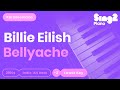 Bellyache (Lower Key - Piano Karaoke Instrumental) Billie Eilish