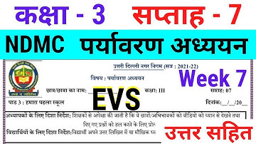 NDMC Class 3 EVS Week 7 Worksheet 7 (14/7/21) || पर्यावरण अध्ययन सप्ताह 7 Class 3rd