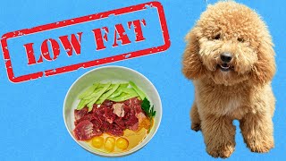 3 Easy Low Fat Dog Food Recipes for Pancreatitis