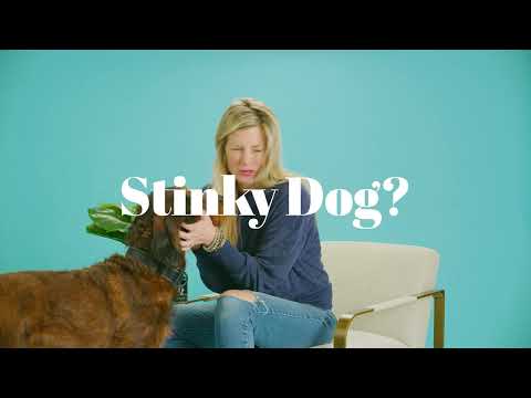 Skout's Honor Probiotic Daily-Use Deodorizer, Dog of the Woods, 8 oz