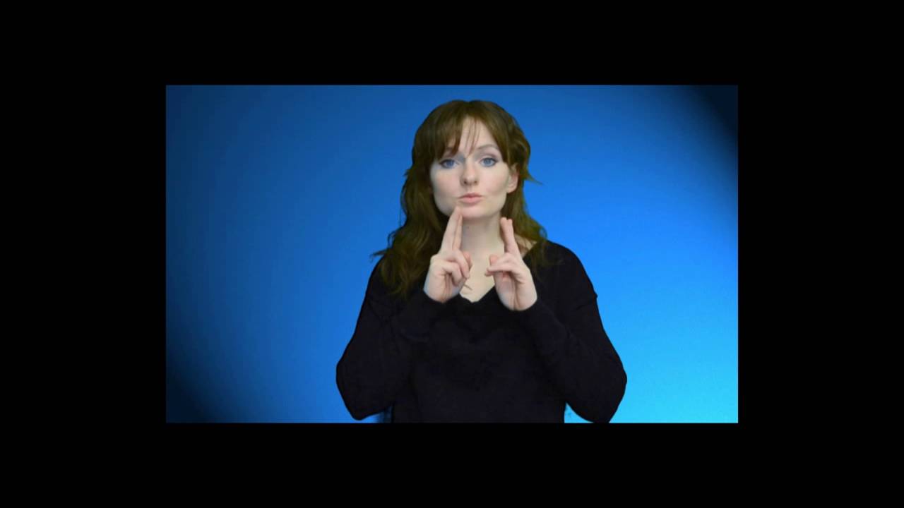 Merkblatt VVV - Erklärung in DGS