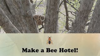 Make a Bee Hotel! | Let's Grow Stuff