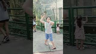 MAESTRO DOS PAPAGAIOS/CANTAROLAR #passeio #criança #orquidario #santos #naturezarelaxante #animais