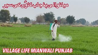 Village Life Punjab Mianwali