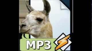Winamp, it really whips the llama's ass