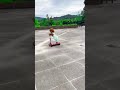 Watch beautiful dog playing.      #foryou #shortvideo #shortviral #shorts