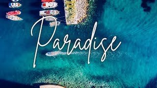 PARADISE | Tropical House | ( Song)