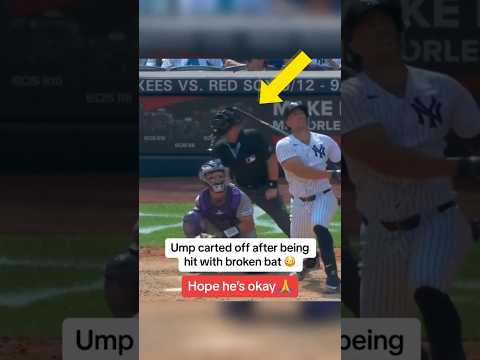 Ump hit with broken bat 😳😖