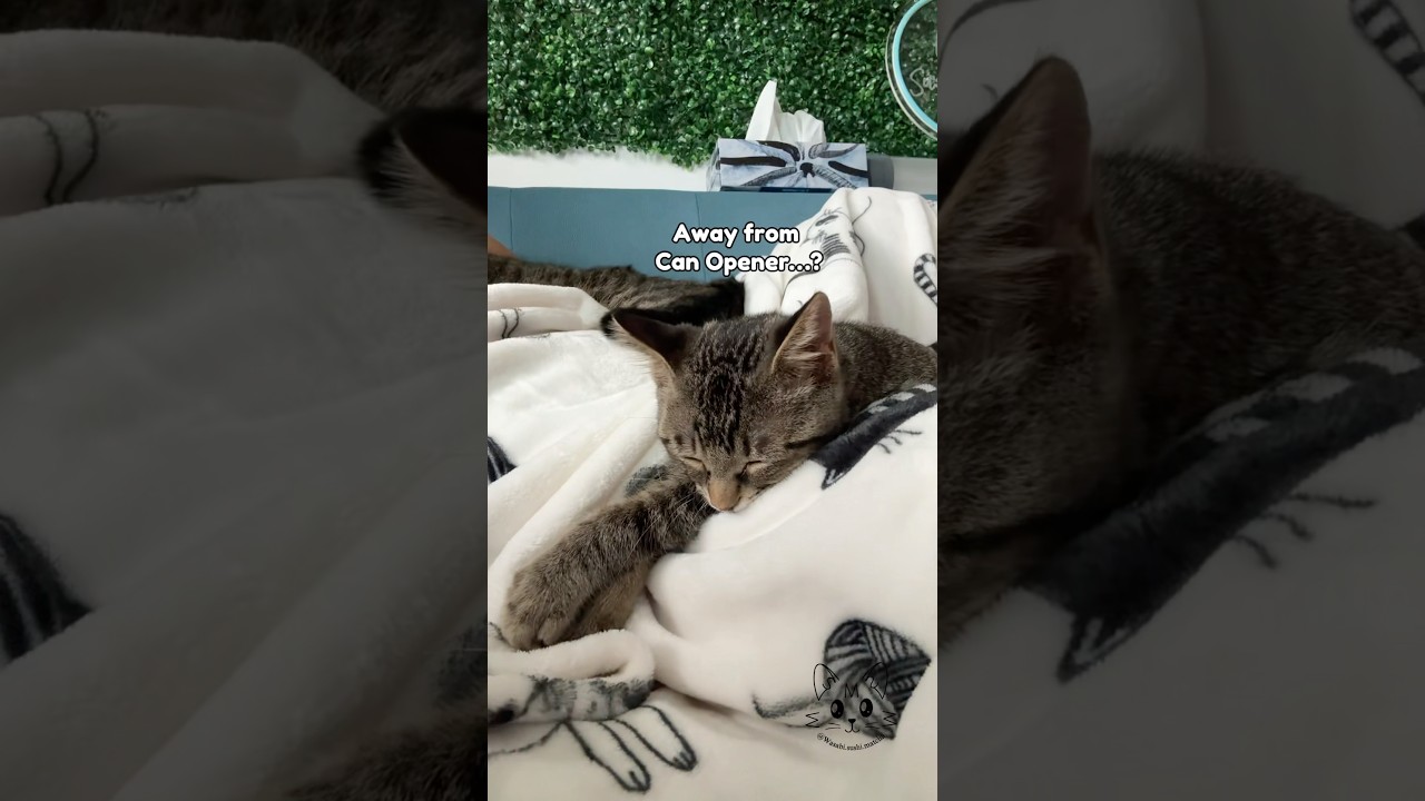 Get ready to say goodbye 😖🥺❤️…