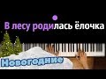 В лесу родилась ёлочка ● караоке | PIANO_KARAOKE ● ᴴᴰ + НОТЫ & MIDI