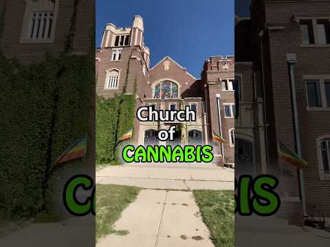 Cannabis Culture Explodes On OnlyFans: A Shocking Revelation