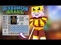 GASTANDO 50 MILHÕES NO PIXELMON BRASIL COM DUDES!