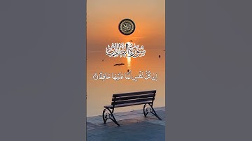 #الرحمن #قرآن #قران_كريم #اكسبلور #fypシ゚viral #سورة_الطارق