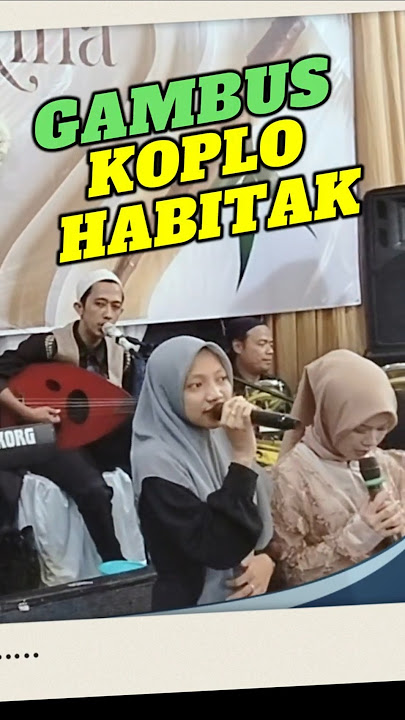 HABITAK KOPLO #shorts #gambusmodern #gambusmodernterbaru #dangdut #gambusan #koplo #habitakkoplo