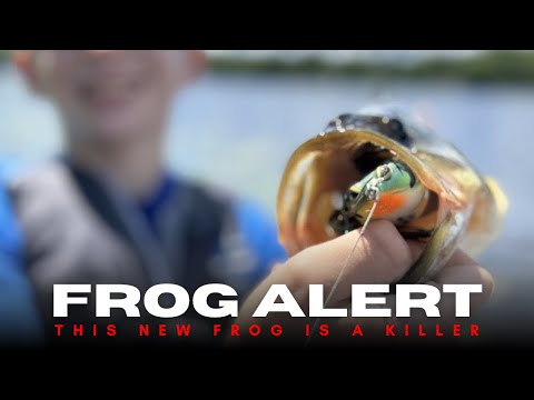 This Might Be The Perfect Hollow Belly Frog!