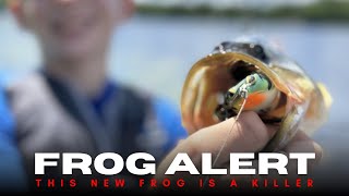This Might Be The Perfect Hollow Belly Frog!