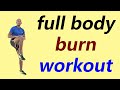 20 Minute Full Body Burn Workout No Jumping/ Full Body Toning Workout