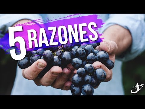 5 Beneficios Que