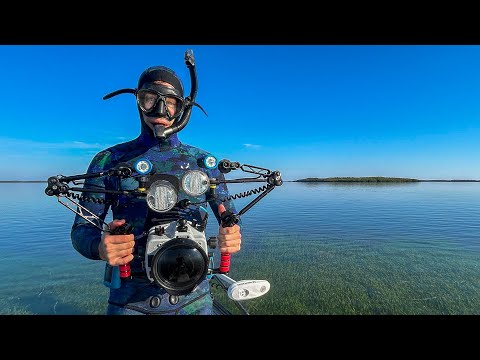 Snorkeling Ancient Springs Hidden in Florida's Seagrass Meadows