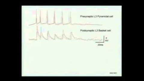 Nov, 24 (morning) - Random Graphs in the Brain