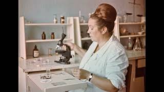 картинка: Болезни и вредители пчел, 1968