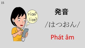 Từ vựng minano nihongo N5 | Bài 41