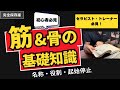 【完全版】全身の主要な骨＆筋肉がすべてわかる動画　※広告なし