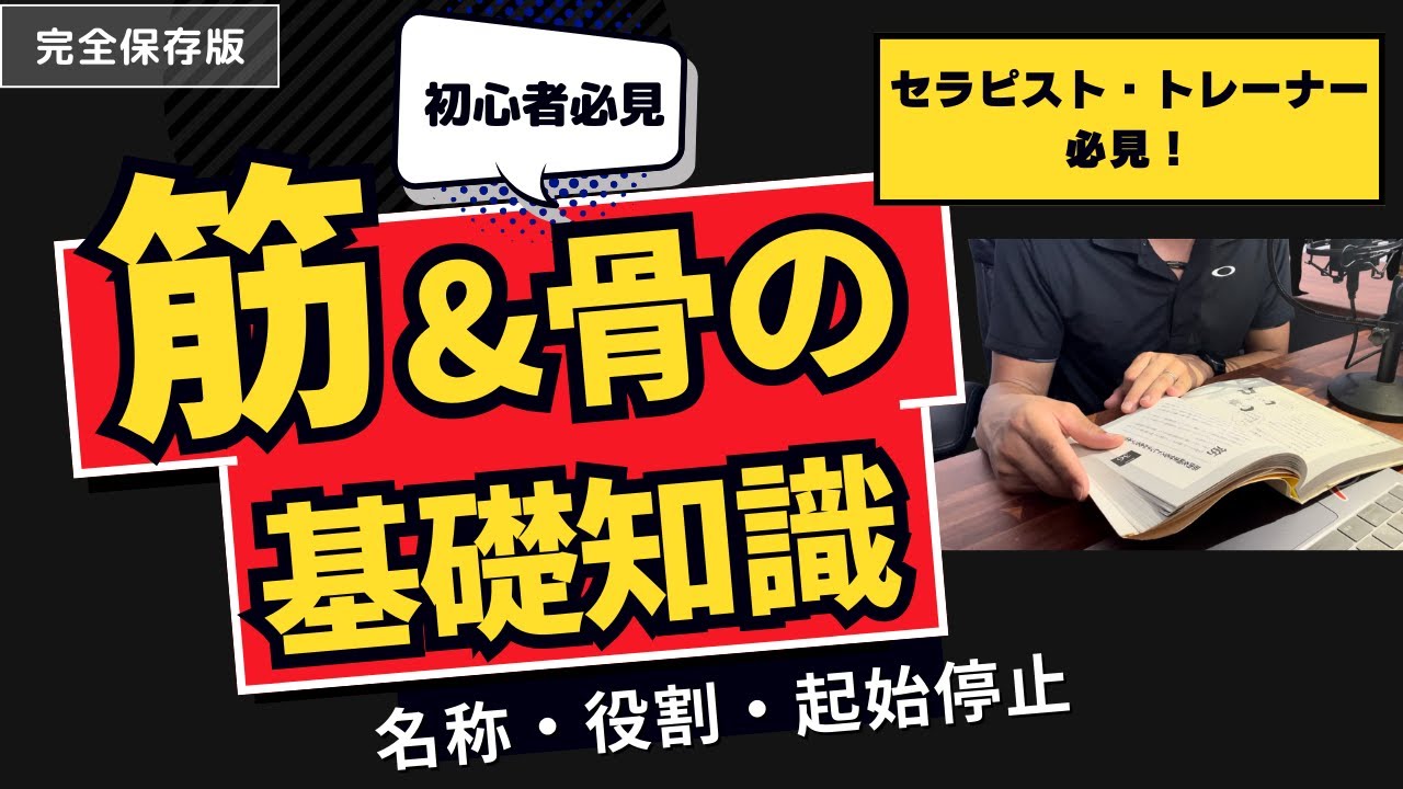 【完全版】全身の主要な骨＆筋肉がすべてわかる動画　※広告なし