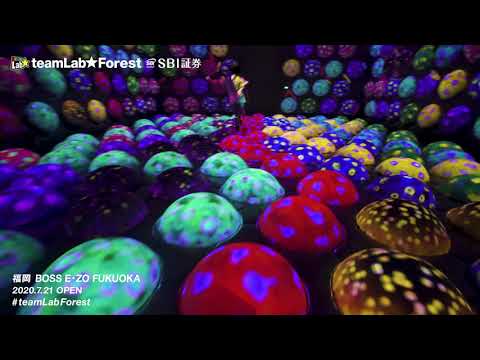 teamLab Forest - SBI SECURITIES Co., Ltd. / チームラボフォレスト - SBI証券