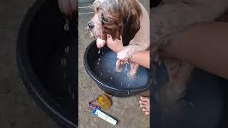 Sabi Ko Naman Wag Ako Eh Video Pag Naliligo Sasabihan Na Naman Akong Mukhang Daga