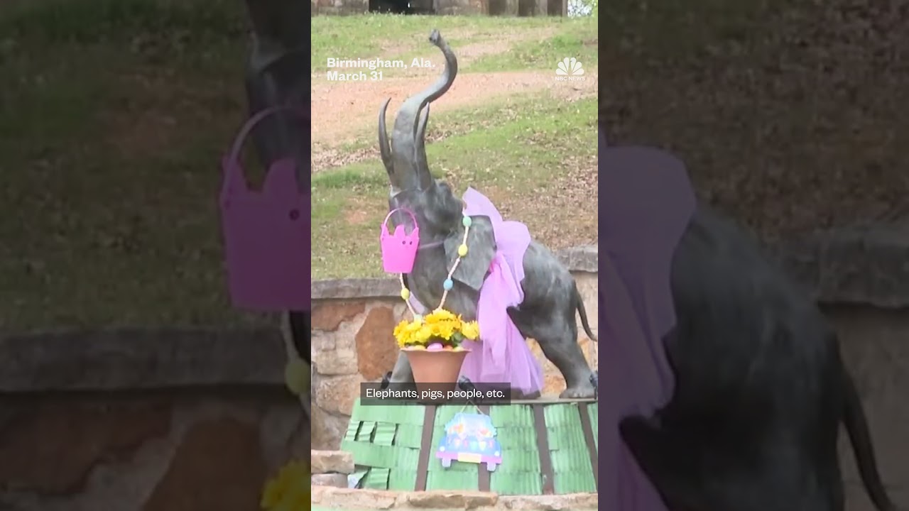 Pink tutus appear on statues across parks in Alabama