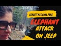 ELEPHANT ATTACK | CORBETT NATIONAL PARK | SITABANI ZONE |