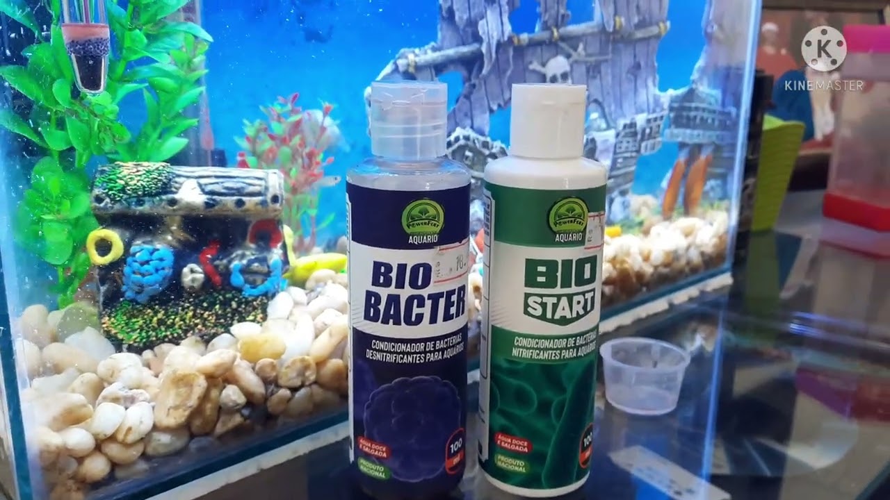 utilizamos o Bio Bacter no nosso aquário de 24 litros. #aquarismo #peixes #aquário