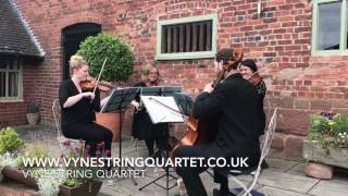 Whatever - Vyne String Quartet